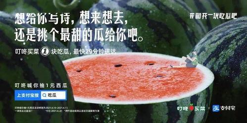 娱乐吃瓜文案怎么弄的啊,轻松驾驭热点，轻松成为话题中心